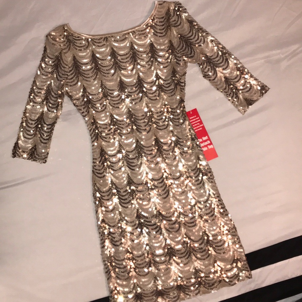 NWT Sequin Dress